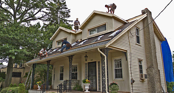 Best Storm Damage Roof Repair  in Buchanan, NY